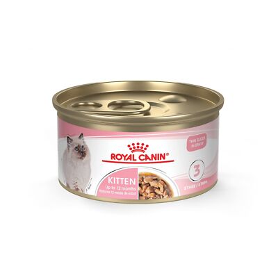 Royal Canin Feline Health Nutrition Kitten Thin Slices in Gravy Canned Cat Fo...