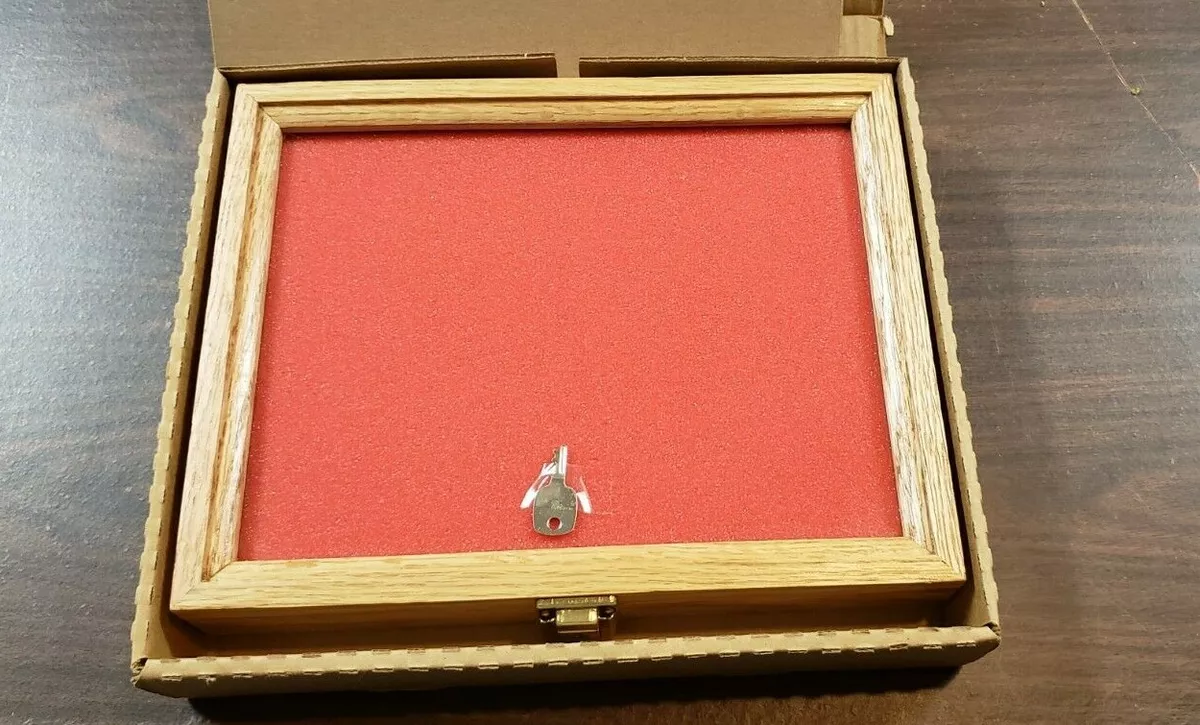 Ebay outlet display case