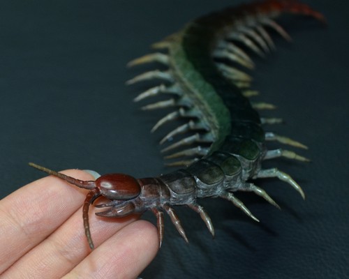 9.8 inches long Centipede Silicon Bronze Statue Artwork, Decor Collection, gift - Picture 6 of 10