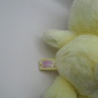 Picture 8 of 9