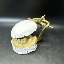 Full Mouth Teeth Mold Metal Jaw Dentures Impressions Oddity Macabre Halloween/ 5