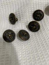 Vintage Military Buttons Eagle Facing Right Holding An Anchor With 13 Stars