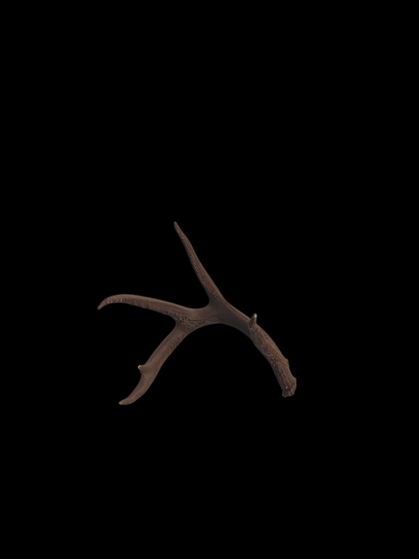 3d Printed Montana Deer Replica #289#