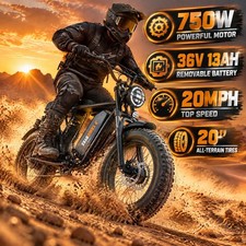 Tamobyke 750W 20mph 36V/13Ah 20" Fat Tire Commuting Electric Bike for Audlts