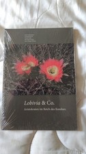 Lobivia & Co Aristokraten im Reich des Kondors