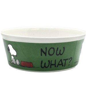 Snoopy Woodstock Peanuts Now What More Please Gibson Ceramic Dog Bowl Food Dish Ebay