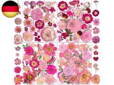 148 St&uuml;ck Rosa Getrocknete Gepresste Blumen mit Schmetterlingsaufklebern