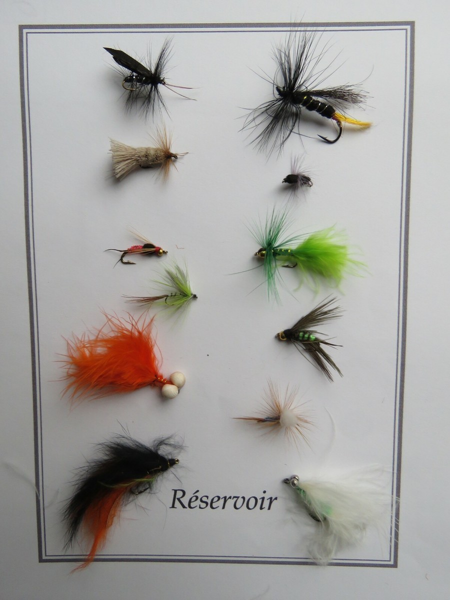 PHOTO ANCIENNE PECHE A LA MOUCHE. - Mouches (14336788