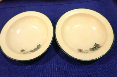 Noet Pie Plate Company Set Of 2 Stoneware Hand-painted Bowls A+