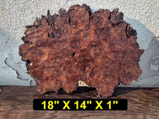 Live Edge Walnut Burl Slab DRY 3006 Tables - Crafts
