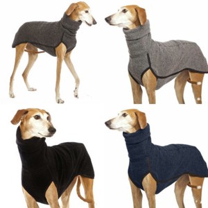 hound dog clothes