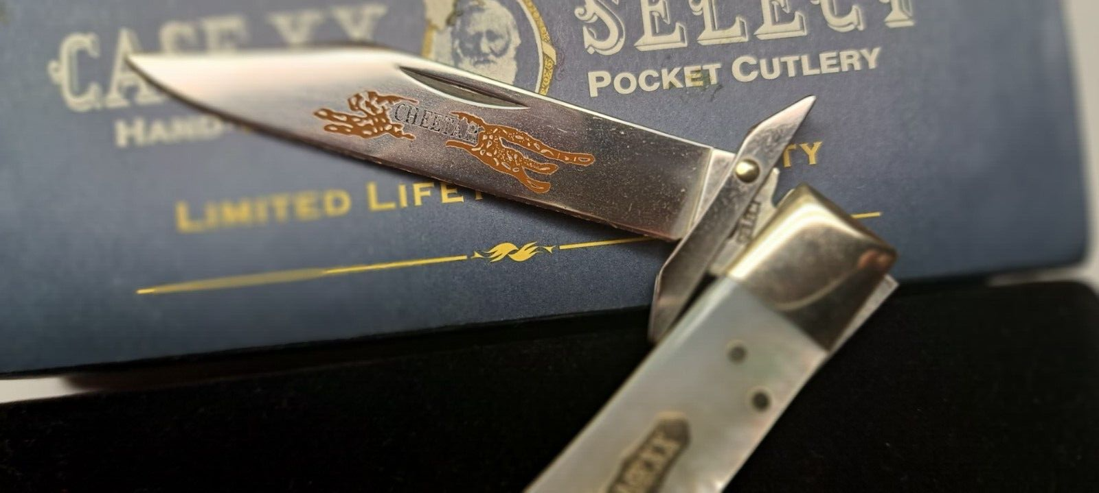 Case Swing Guard Lock Back Knife Select Mother Of Pearl 2002 eBay