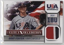 2014 Panini Elite Extra Edition Game Jerseys Prime 15/25 Gray Fenter #10 0b2