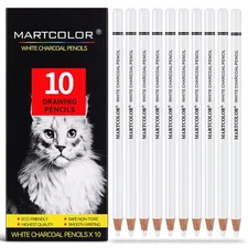 Professional White Charcoal Pencils Set 10 Pieces Sketch Highlight Charcoal P...