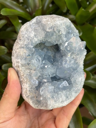 Raw Celestite Cluster, Celestite Geode, Natural Blue Celestite, Pick a Weight - Picture 5 of 18