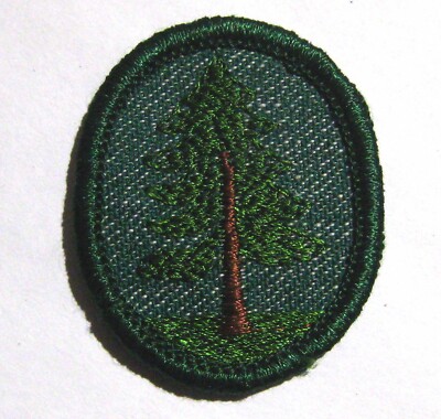 Vintage 1955-1960 Girl Scout PINE TREE TROOP CREST Dendrology Forest Patch Badge