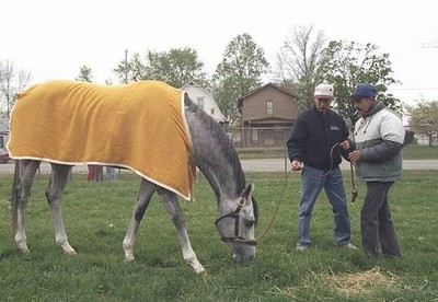 Paco Sal Gonzalez watch as Free House eats some grass at the 123rd- Old Photo