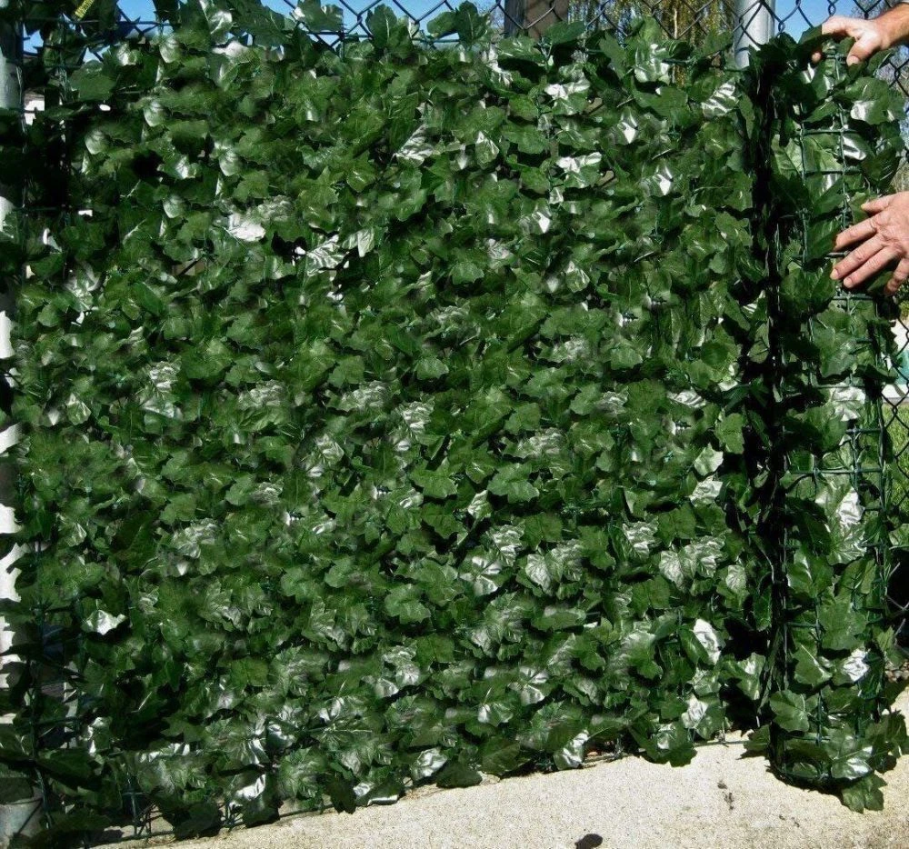 wann eiben düngen Hedge Care