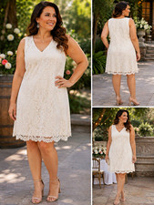 Karen Kane Women’s L Ivory Floral Lace Sleeveless V-Neck Lined Zip Dress
