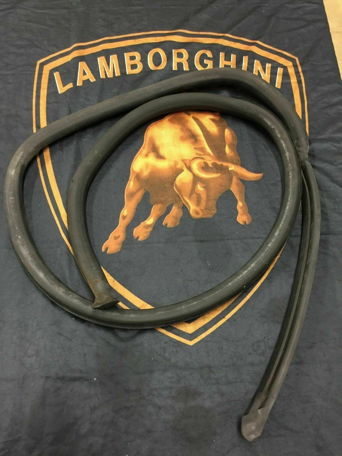 LAMBORGHINI MURCIELAGO ROADSTER LEFT DOOR COMPARTMENT CHANNEL GASKET SEAL OEM 