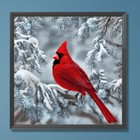 Bild 66 von 206