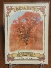 2021 Topps Allen & Ginter Arboreal Appreciation #AA-10 - Scarlet Oak