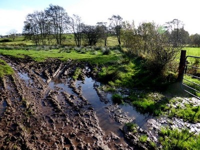 Foto 6x4 Schlammiger Boden, Blackfort Richtung Osten von Sessiagh c2017