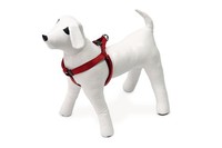 Hundegeschirr Karlie Art Sportiv Plus 15Mm 25-45Cm, Nylon, Verstellbar