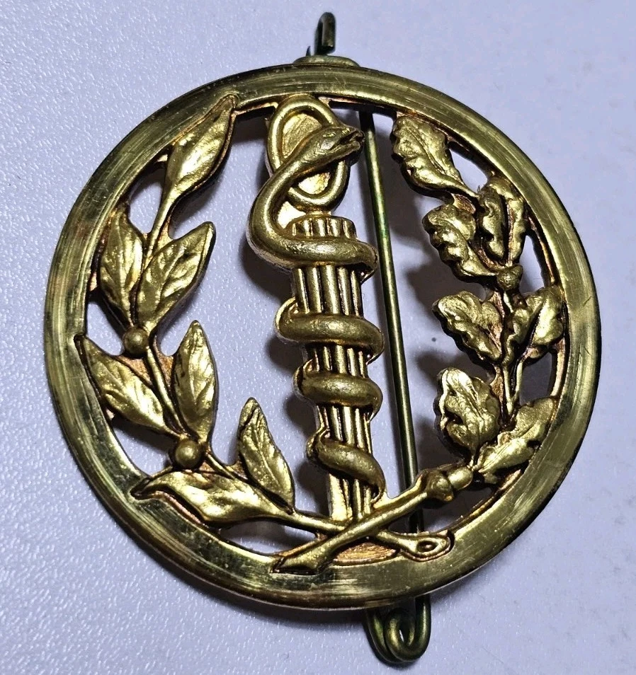 Insigne Original Service De Santé 9e Bataillon Médical Vannes, Badge Militaire