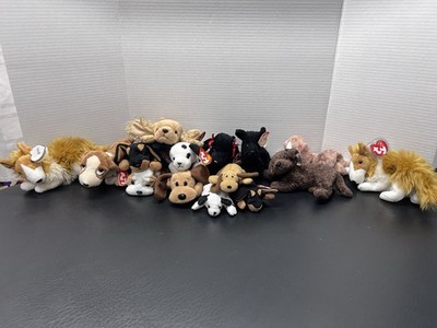 TY Beanie Babies Dog Lot (16) Bones Wrinkles Fetcher Cassie + More