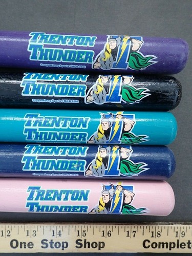 VINTAGE 2002 TRENTON THUNDER MINI SOUVENIR WOODEN BASEBALL BAT 18" - Picture 2 of 23