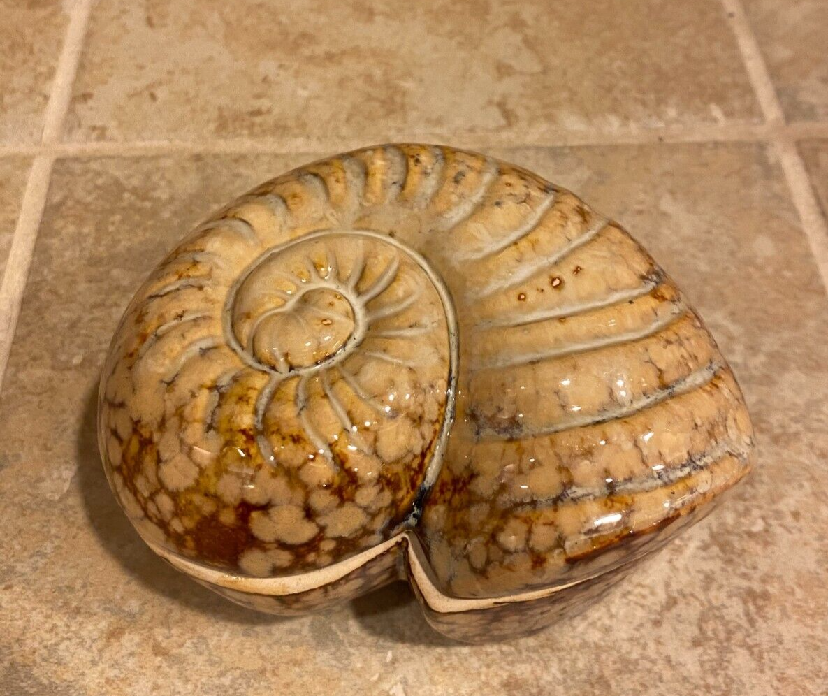 Spiral Nautilus Seashell  Ceramic Pottery Trinket Dish Lid Glazed