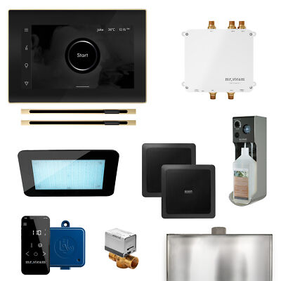 Bliss Max Linear Steam Gen Ctrl w/iSteamX Ctrl-Linear Steamhd-Blk Polished Brass