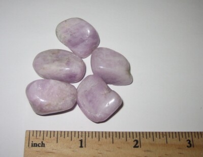 5 TUMBLED POLISHED 0.8''- 1'' KUNZITE PINK SPODUMENE CRYSTAL STONES ~ 39.3grams *4