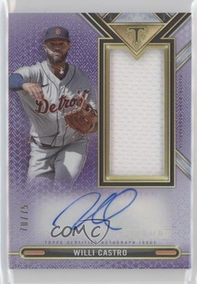 2021 Triple Threads Single Jumbo Relics Amethyst 70/75 Willi Castro Auto 6fs