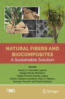 Henry A. Colorado Lopera (U. A.) | Natural Fibers And Biocomposites | Buch | Xvi