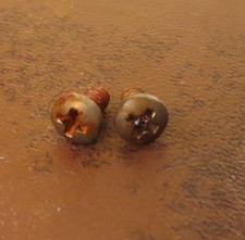 2 AGED switch PHILLIPS mounting SCREWS fit Fender Tele Stratocaster RELIC