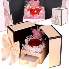 Preserved Real Roses for Her,Eternal Forever Flowers Eternal Red Rose Gift Set