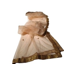 Vintage Dupatta Peach  Gold Trim Net Mesh Hand Beaded 96" L 34" W