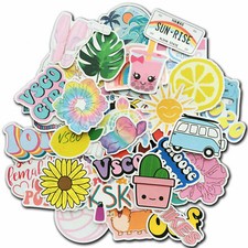 50 pièces d'autocollants Vsco pour décalcomanies de bouilloire guitare bagages