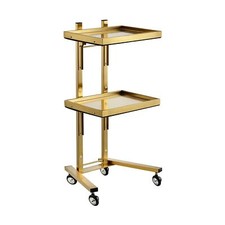 Multifunctional 2-Tray Utility Cart on Wheels - Gold 2-Level Medical Trolley ...