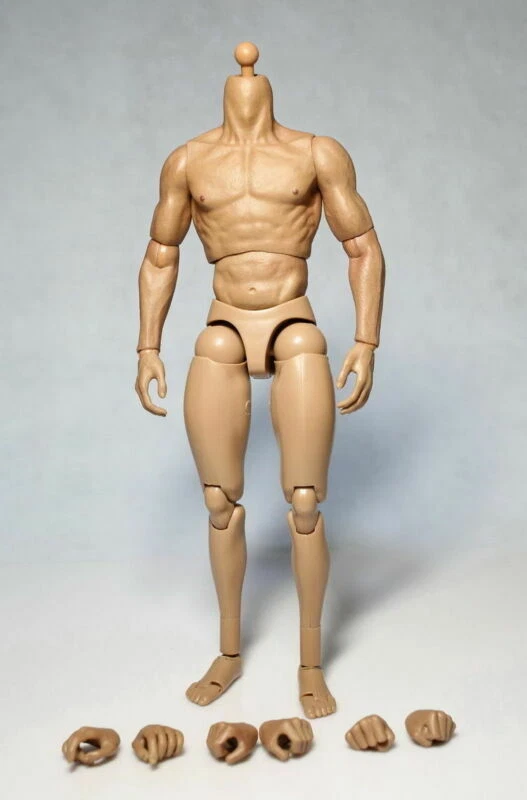 ZC Toys Escala 1/6 12" Hombre Desnudo Musculoso Figura Cuerpo Modelo Ajuste HT Cabeza Escultura Foto 4 de 4