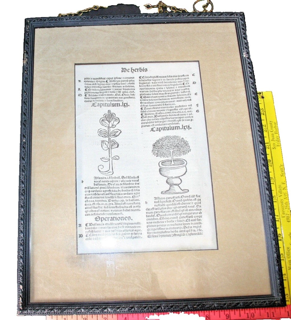 Loose Pages, Articles European Science & Medicine Antiquarian & Collectible Books