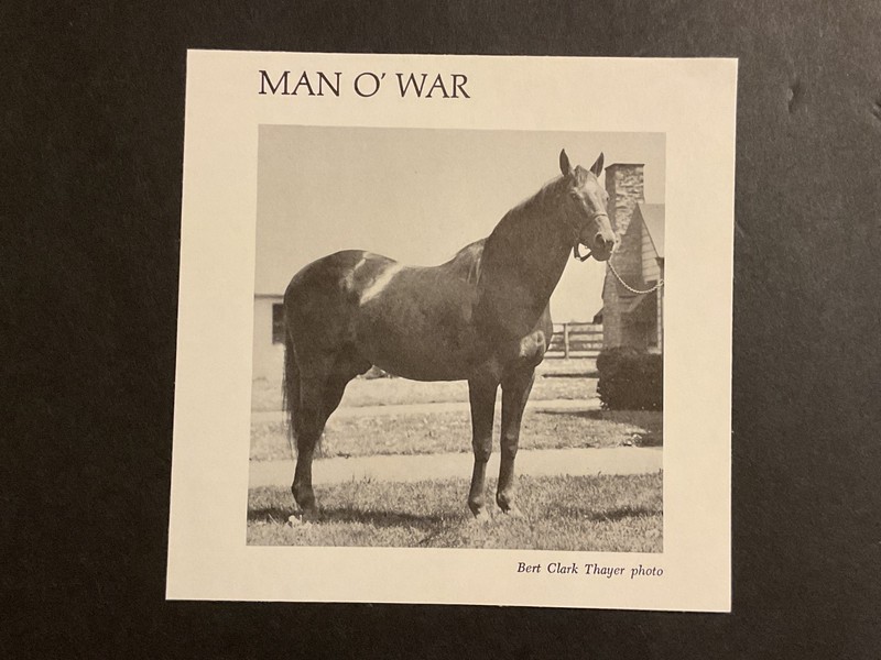 MAN O’ WAR photo Horse Racing CHAMPION