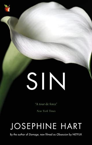 Sin: By the author of DAMAGE, inspiration for the Netflix series OBSESSION (Virago Modern Classics) - Image 3