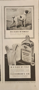 1941 Fleischmanns gin Vintage Ad 14 x 10 in a class by himself