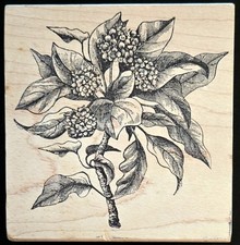 Magenta Designs Rubber Stamp Flowering Vine Leafy Branch with Flowers LG