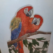 Diane Krumel Art Etching Macaws Print Signed Numbered 363/500 Frame Mat Parrot 