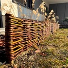 Bild 4 von 8