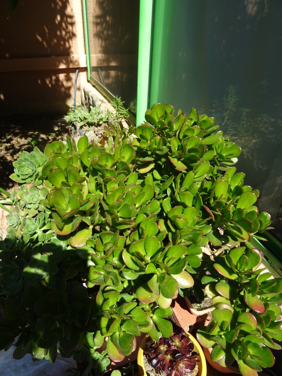 Picture 9 of 24
